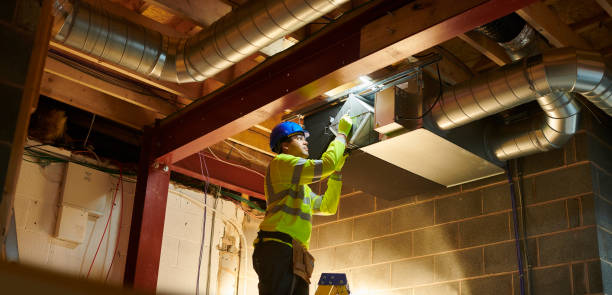 Best HVAC Duct Inspection Services  in Zeigler, IL