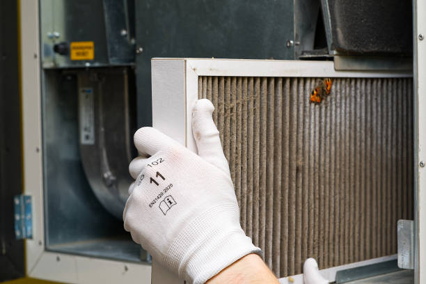 Best Affordable Duct Cleaning Services  in Zeigler, IL