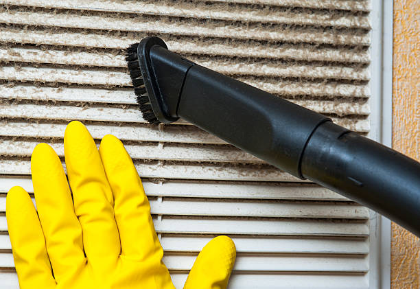 Best Local Air Duct Cleaning Services  in Zeigler, IL
